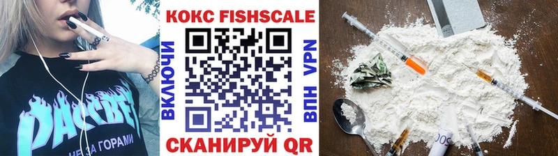 Кокаин Fish Scale  MEGA сайт  Северобайкальск 