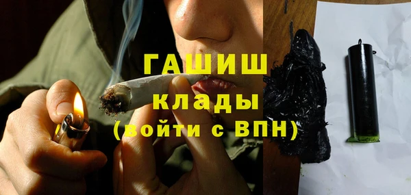 индика Переславль-Залесский