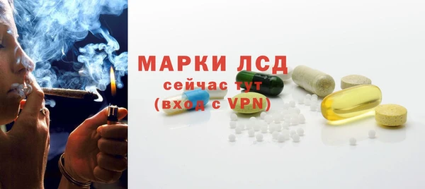 ГАЛЛЮЦИНОГЕННЫЕ ГРИБЫ Заволжье