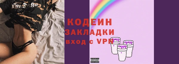 индика Переславль-Залесский