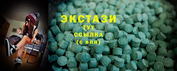 индика Переславль-Залесский