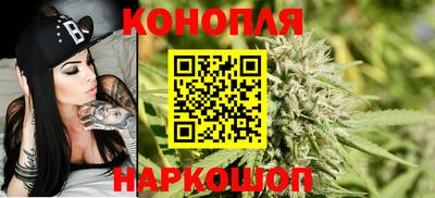 ешки Гай