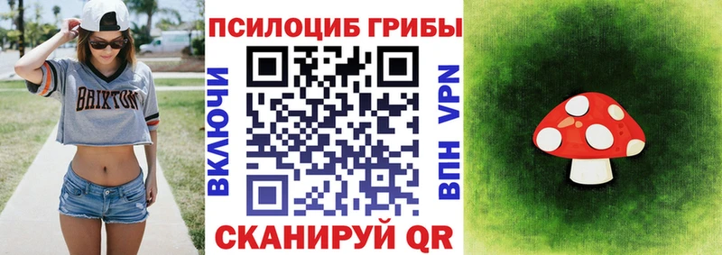 blacksprut рабочий сайт  Северобайкальск  Галлюциногенные грибы GOLDEN TEACHER 