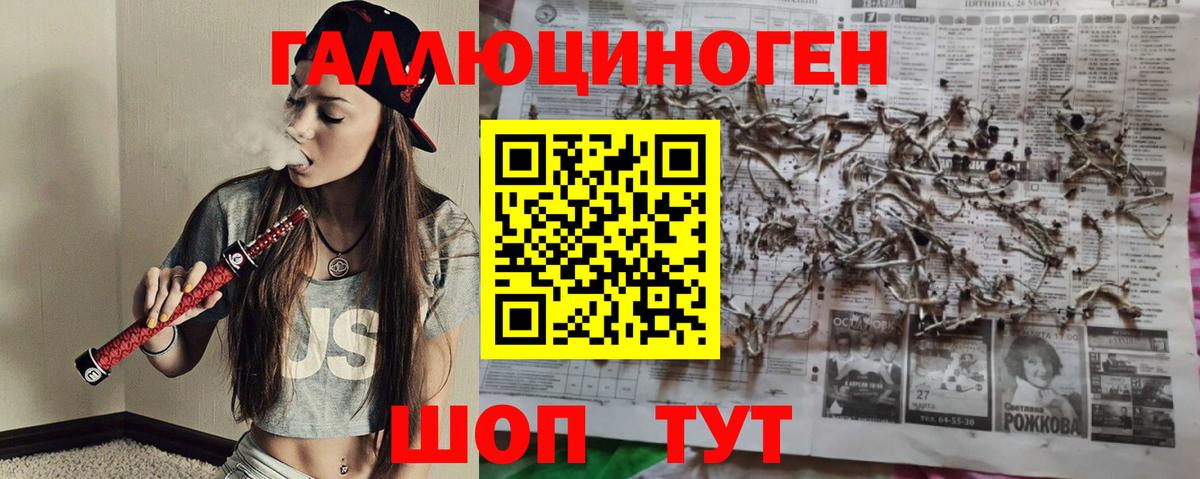 Псилоцибиновые грибы ЛСД Северобайкальск