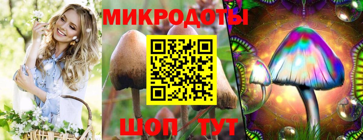 дарнет шоп  Северобайкальск  Галлюциногенные грибы Magic Shrooms 