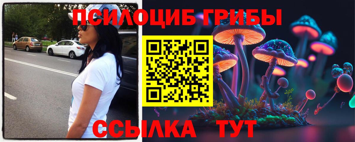 Псилоцибиновые грибы Cubensis  Вход с VPN  Северобайкальск 